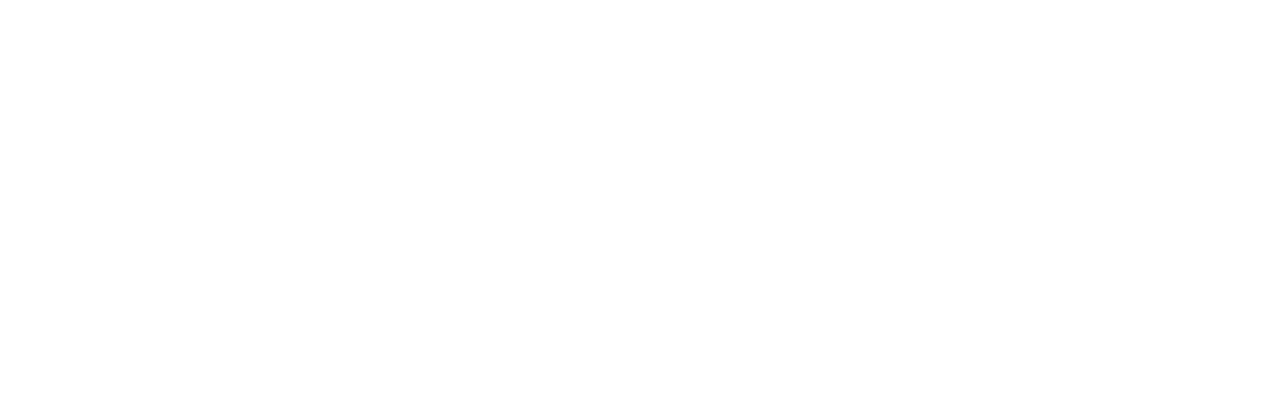 White logo with Safey & Security International words stacked beside it