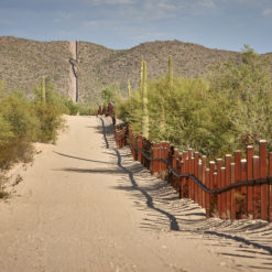 A desert landscape with a winding dirt road marked by tire tracks. A tall border fence made of rust-colored metal poles with pointed tops extends into the distance and up a hill. The landscape is dry and barren, scattered with cacti and shrubs. Above, the sky is clear and blue.